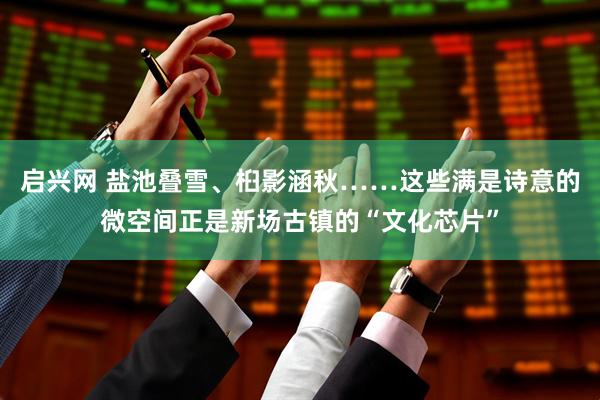 启兴网 盐池叠雪、桕影涵秋……这些满是诗意的微空间正是新场古镇的“文化芯片”