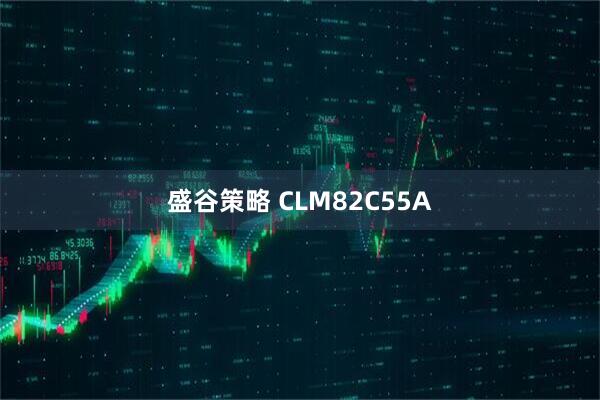 盛谷策略 CLM82C55A