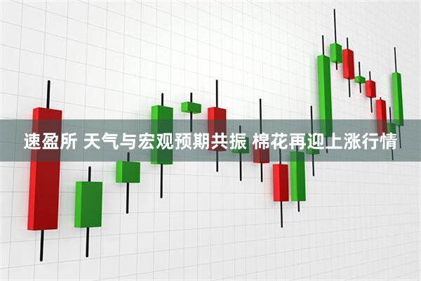速盈所 天气与宏观预期共振 棉花再迎上涨行情
